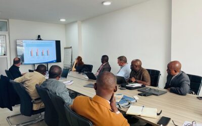 Decent Work in the Construction Sector in Kinshasa: Policies and Responsibilities of Public Actors